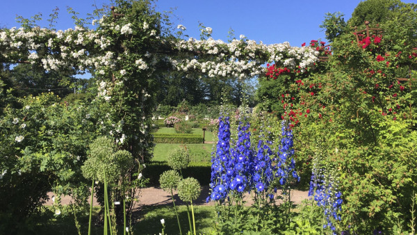 Här hittar du den blomstertid