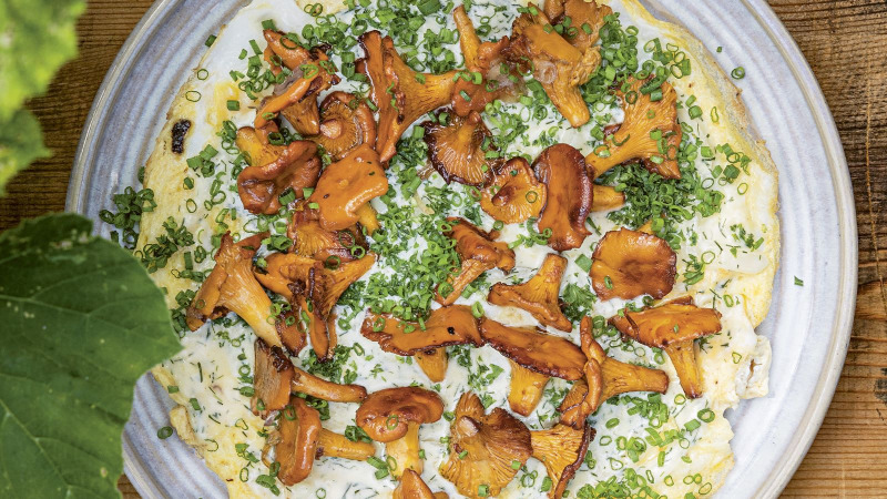 Kantarellomelett