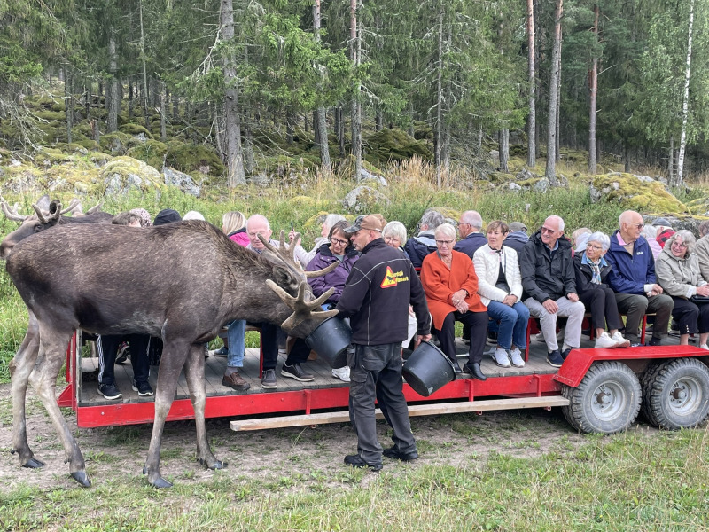 Vallonen – Skärplinge på hemlig resa