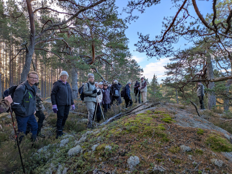 Vandring i brandens spår vid lilla och stora Göljen