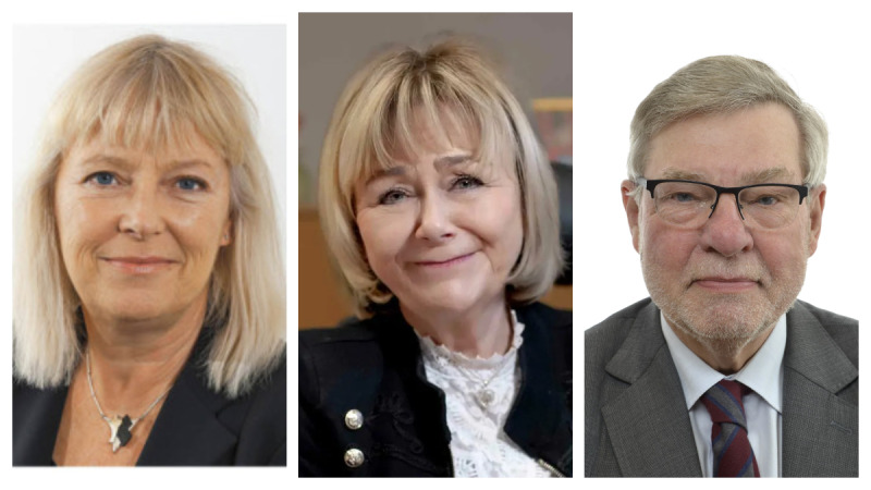 Veteraner kampanjar för fler seniorer i riksdagen