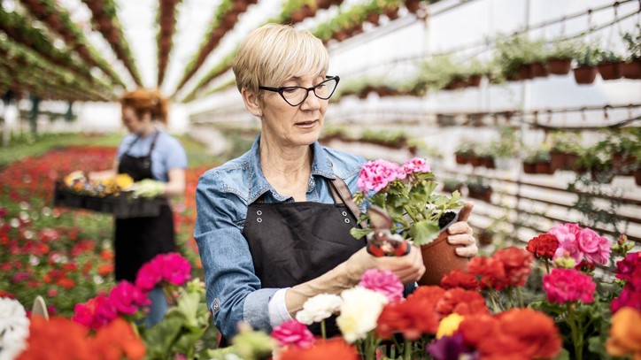 Nästan en halv miljon jobbonärer