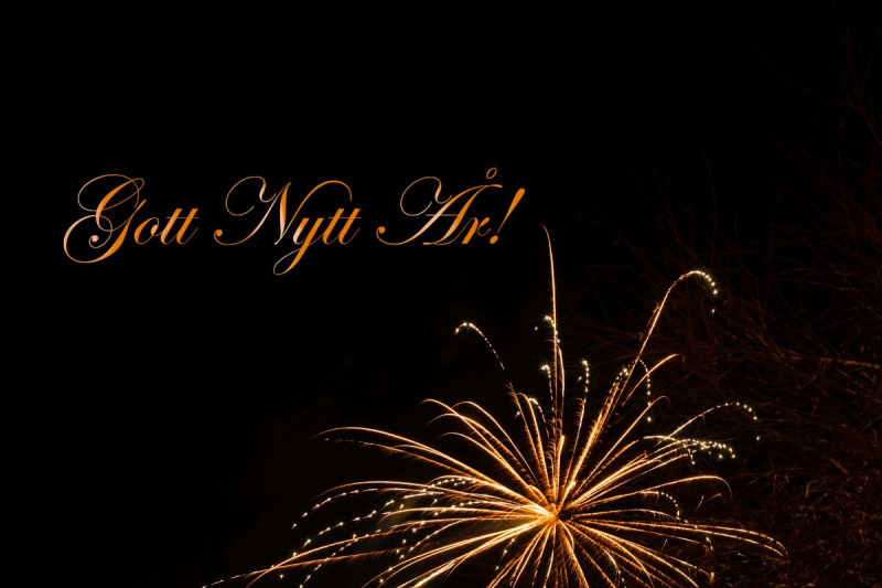 Gott+nytt+%C3%A5r+%C3%B6nskar+Senioren+med+en+l%C3%A4sarfavorit%21