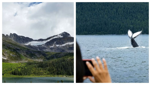 Storslagen kryssning i Alaska