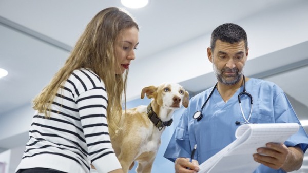 Snart enklare jämföra ”hutlösa” veterinärpriser