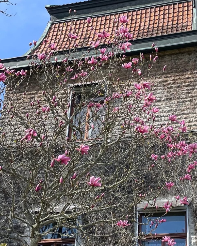 Vacker vårresa på hemmaplan